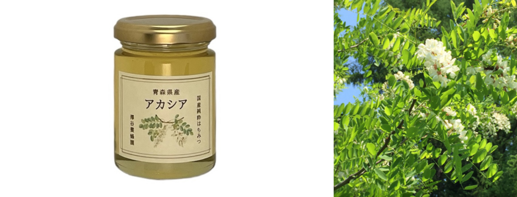 澤谷養蜂園の商品｜アカシア蜂蜜