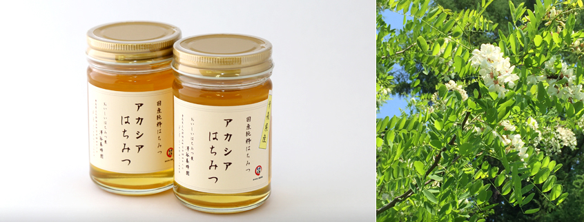 澤谷養蜂園の商品｜アカシア蜂蜜