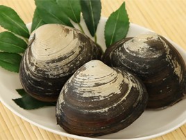 青森県三沢産のほっき貝