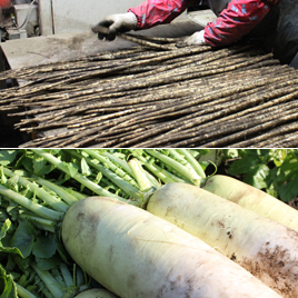 有数の生産量を誇る地元食材パイカ・ごぼう・大根使用
