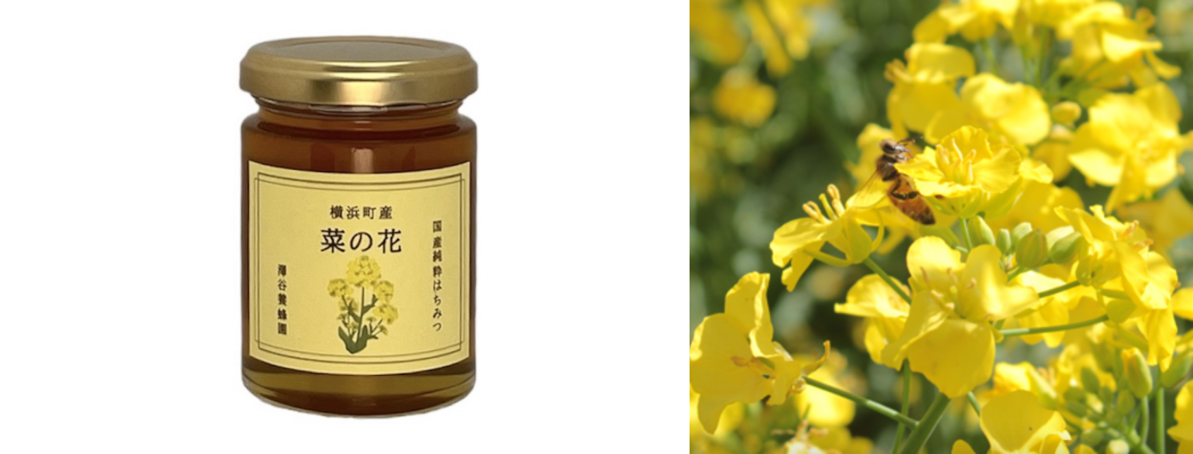 澤谷養蜂園の商品｜菜の花はちみつ