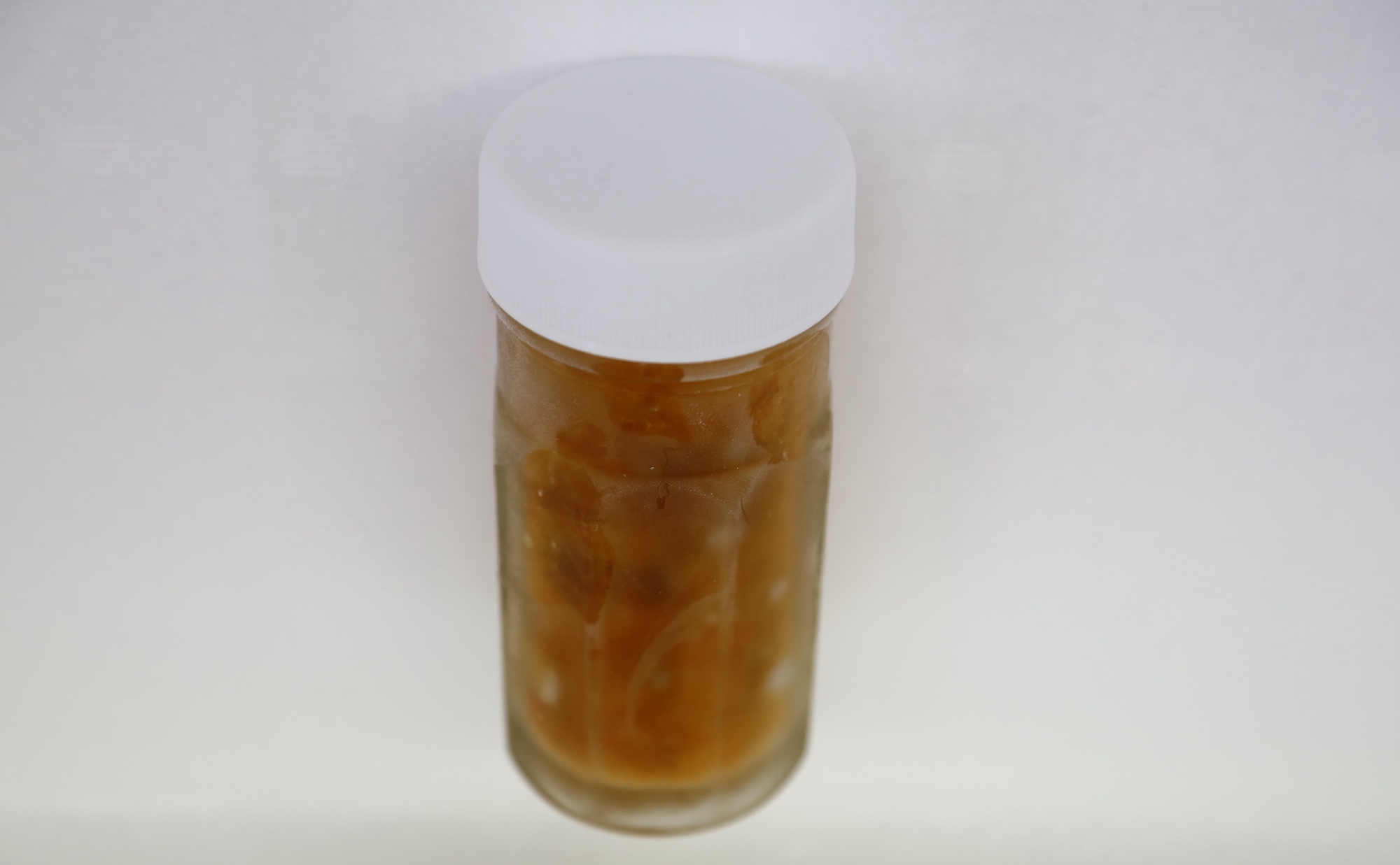 限りなく生に近い贅沢な逸品